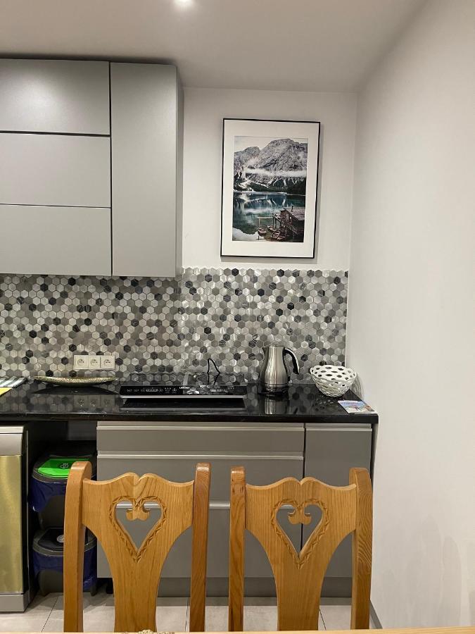 Apartamenty Ermitage Zakopane Ngoại thất bức ảnh